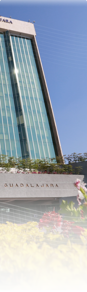 Dirección de Finanzas Universidad de Guadalajara